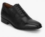 Hush Puppies Elan One Piece Perforated Black Oxford Brogue Formal Shoes Men