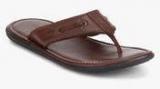 Hush Puppies Fermo Brown Slippers men