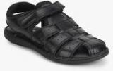 Hush Puppies Fishermen Bounce Black Sandals Men