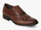 Hush Puppies Griffin Maddow Brogue Brown Formal Shoes Men