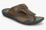 Hush Puppies Harlet Thong Brown Slippers men