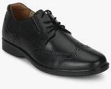 Hush Puppies Hartley Workday Black Derby Brogue Formal Shoes men