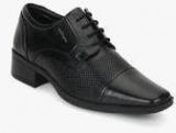 Hush Puppies Hume Oxford Black Formal Shoes Men