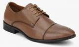 Hush Puppies Jude Lace Up Brown Formal Shoes Men