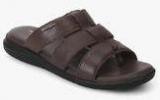 Hush Puppies Lara Hidden Toe Ring Brown Slippers men