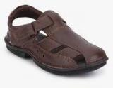 Hush Puppies New Decent Brown Sandals Men