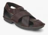 Hush Puppies New Decent Xross Brown Sandals Men