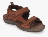 Hush Puppies New Decode Brown Sandals Men