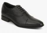 Hush Puppies New Fred Black Oxford Formal Shoes Men