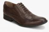 Hush Puppies Pk223 Brown Oxford Brogue Formal Shoes men