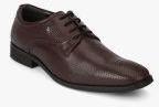 Hush Puppies Randal Brown Formal Shoes Men