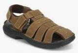 Hush Puppies Rockford Brown Sandals Men