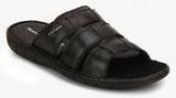 Hush Puppies Sedan Mule Black Slippers men