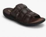 Hush Puppies Sedan Mule Brown Slippers men