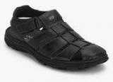 Hush Puppies Simon Black Sandals Men