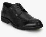 Hush Puppies Star Black Derby Brogue Formal Shoes Men