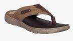 Id Brown Comfort Sandals Men