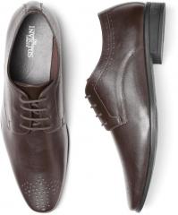 Invictus Brown Formal Derbys men