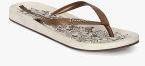 Ipanema Brown Printed Thong Flip Flops Women