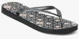 Ipanema Grey Flip Flops women