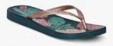 Ipanema Peach Flip Flops Women