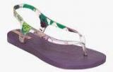 Ipanema Purple Flip Flops Women