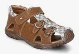 J Collection Brown Sandals Boys