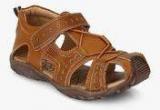 J Collection Tan Sandals Boys