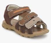 Juniors Brown Sandals Boys