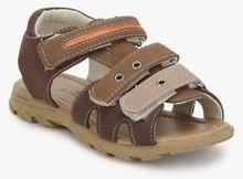 Juniors Brown Sandals boys