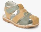 Juniors By Lifestyle Beige Comfort Sandals Boys