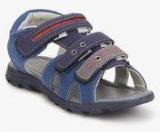 Juniors By Lifestyle Navy Blue Sandals Boys