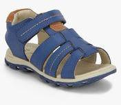 Juniors Navy Blue Sandals Boys