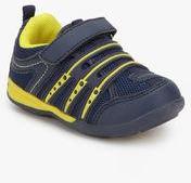 Juniors Navy Blue Sneakers Boys