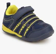 Juniors Navy Blue Sneakers boys