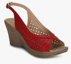 Kielz Maroon Wedges Women