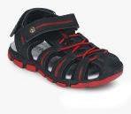 Kittens Black Fisherman Sandals Boys