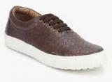 Knotty Derby Alecto Oxford Brown Sneakers men