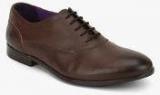 Knotty Derby Bryce Oxford Brown Formal Shoes Men