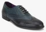 Knotty Derby Bryce Wing Cap Brogue Blue Formal Shoes Men