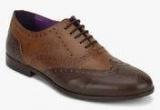 Knotty Derby Bryce Wing Cap Brogue Brown Formal Shoes Men