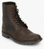 Knotty Derby Dolohov Double Tone Brown Boots Men