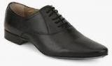 Knotty Derby Elphias Oxford Black Formal Shoes Men