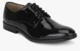 Knotty Derby Oliver Derby Black Formal Shoes Men