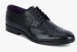 Knotty Derby Oliver Longwing Black Brogue Formal Shoes men