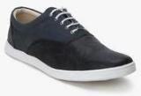 Knotty Derby Terry Classic Oxford Black Sneakers Men