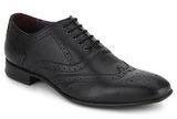 Knotty Derby Viktor Brogue Derby Black Formal Shoes Men