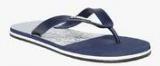 Kook N Keech Navy Blue Flip Flops Men