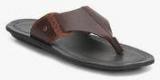 Language Brown Slippers Men