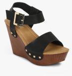 Lavie Black Solid Sandals Women